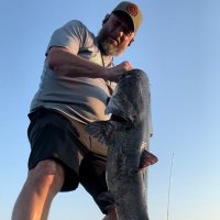 OldManBeaston (@oldmanbeaston) 's Twitter Profile Photo OldManBeaston (@oldmanbeaston) 's Twitter Profile Photo