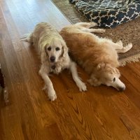 Smackers (@smacker00276631) 's Twitter Profile
