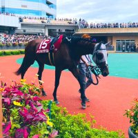 m@y (@my26633438) Twitter profile photo