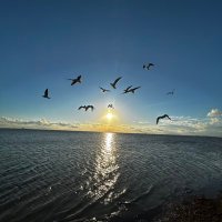 isaiah rodriguez (@isaiahr2023) 's Twitter Profile