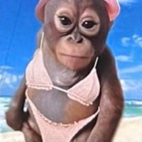 XX (@zoinks_maxx) 's Twitter Profile