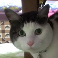 JE3MLS vessel (@vessel748748) Twitter profile photo