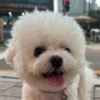 차차 (@lena_onf) 's Twitter Profile