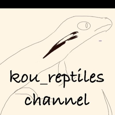 【こうレプちゃんねる】の名前で小型爬虫類系YouTubやってます🦎動画は毎日投稿気合いでやってます🙇♂️YouTube収益化してお小遣いを増やし、飼育環境を拡大していくのが夢です🏠ファミリー:ヤモリ5匹・カナヘビ2匹・ニホントカゲ5匹・レオパ1匹📣無言フォロー失礼いたします🙇