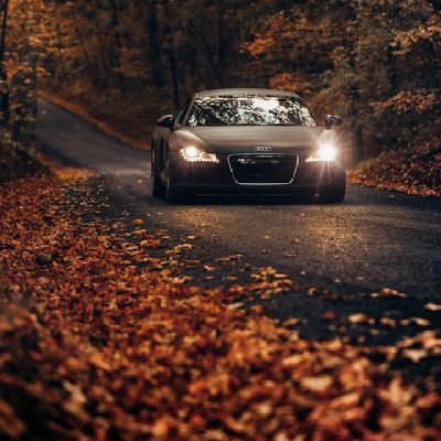 sandesh_as's profile picture. THRISSUR🇮🇳
¶ Beard Lover
¶ Travel & Trip 
¶ Friendship 
¶ From KL- 4️⃣5️⃣