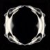 OPTIC NERVE (@opticnerve_io) Twitter profile photo OPTIC NERVE (@opticnerve_io) Twitter profile photo