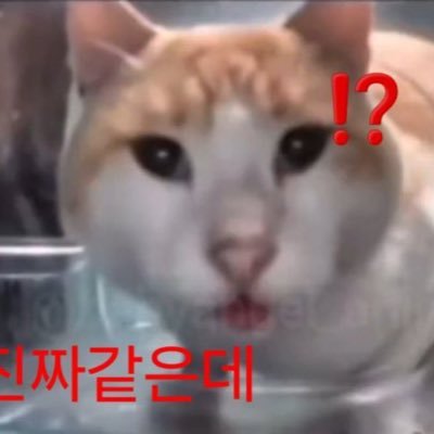 Not0riousThugs's profile picture. 느금테리온