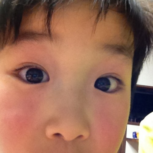 kiyama0452's profile picture. 