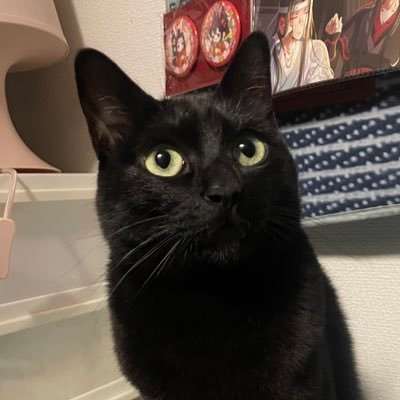 TomomiAoya44846's profile picture. 私の好きな人も私を好きだといいのですが❤❤❤
