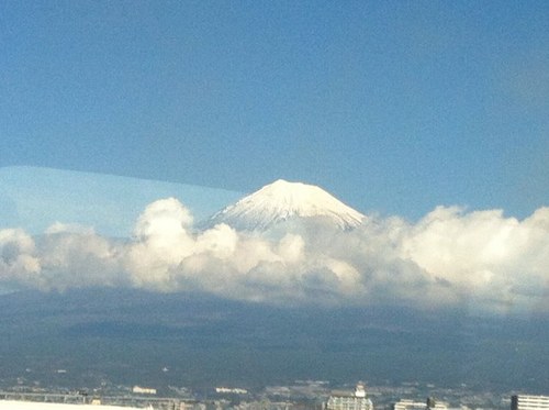 warabimoti7's profile picture. 