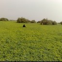 سندس - @mona_aziz7 - Twitter