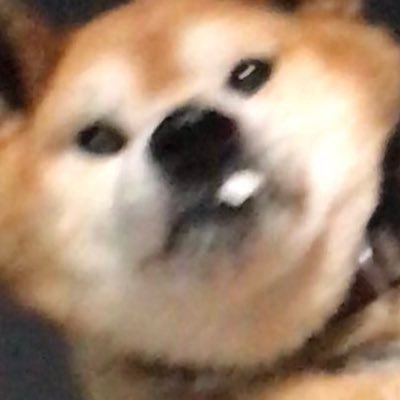にしちー（おしゃべり）さんのプロフィール画像