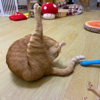 孤獨熊 (@mingjay7777) 's Twitter Profile