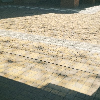 yukn524's profile picture. 