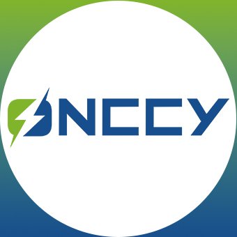 Top Brand in Protection for Solar PV, Battery Energy Storage and EV Charging System Manufacturer