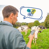 HoliCow Project (@holicowproject) 's Twitter Profile