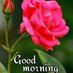 Asif 786 (@saeedkh42685822) Twitter profile photo Asif 786 (@saeedkh42685822) Twitter profile photo
