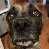Lennyneph (@lennyneph15) 's Twitter Profile