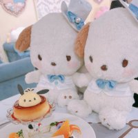 ぽ。 (@pocha_nyan) 's Twitter Profile