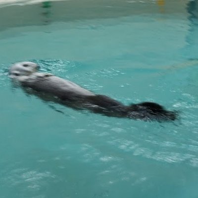 ToDoさんのプロフィール画像