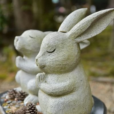 shou_zhi2608's profile picture. 