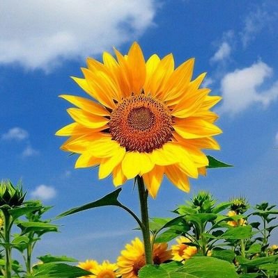 winalotoday's profile picture. @bigwinonsept @84O82 has been susp