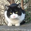 日常やレトロゲーム関係の情報を呟いてます。レトロゲーム好きな方々と交流出来たらなと思います。時々TRPG関連の話題も。アイマス・ラブライブ関係をつぶやく用のアカウントはこちら→@Kazahara291P