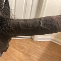 Gee (@mrbigdickgee) 's Twitter Profile