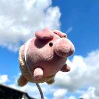 ギャラリー実のぬいぐるみ🧵 (@minorussss) 's Twitter Profile Photo ギャラリー実のぬいぐるみ🧵 (@minorussss) 's Twitter Profile Photo
