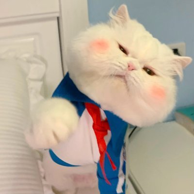 Tiktokshop conducts recruitment for part-time partners! Salary $100-$300 per day, please contact us https://t.co/aUnM4TV2Lw