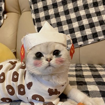 Tiktokshop conducts recruitment for part-time partners! Salary $100-$300 per day, please contact us https://t.co/jEliTjJfC5