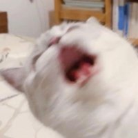 데츠 (@eochb) 's Twitter Profile Photo