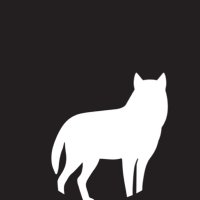 Tallinn Black Nights FF (@tallinnbnff) 's Twitter Profile Photo Tallinn Black Nights FF (@tallinnbnff) 's Twitter Profile Photo