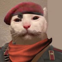 sticky (@sticksterr) 's Twitter Profile Photo sticky (@sticksterr) 's Twitter Profile Photo