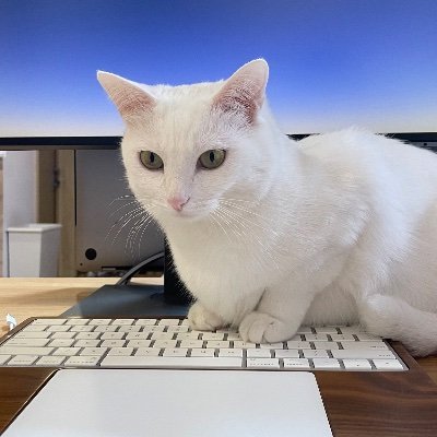 _libei's profile picture. 