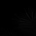 ً (@bearvlt) Twitter profile photo ً (@bearvlt) Twitter profile photo