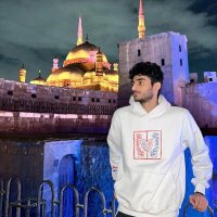 Fares Mahmoud (@fares_mahmoud3) 's Twitter Profile