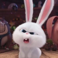 🍒 sᴜᴍᴍᴇʀ • (@kmwc_) 's Twitter Profile