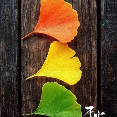 lukeathk's profile picture. 