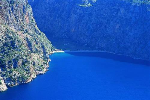 spalifeant's profile picture. 