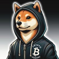 0x老董 (@crypto_laodong) 's Twitter Profile Photo