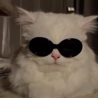 𝟐𝟐 𝑱𝑼𝑳𝒀 𐙚 รอด้วงกับเธอ 🪲💓 (@22july19xx) 's Twitter Profile Photo 𝟐𝟐 𝑱𝑼𝑳𝒀 𐙚 รอด้วงกับเธอ 🪲💓 (@22july19xx) 's Twitter Profile Photo
