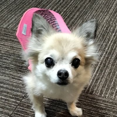 杉本健勇の直筆サインユニフォーム来た✧ ( °∀° )/ ✧ これ着て