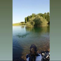 jouska (@cactaceaeb) 's Twitter Profile Photo jouska (@cactaceaeb) 's Twitter Profile Photo