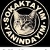 kedillikedi (@sokakkedisi_3) Twitter profile photo kedillikedi (@sokakkedisi_3) Twitter profile photo