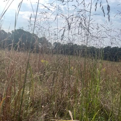 MacMutual's profile picture. reporter