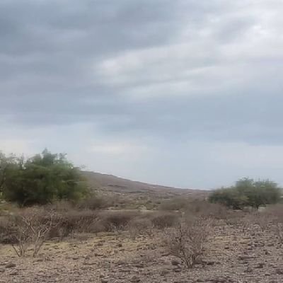 QF_800's profile picture. 