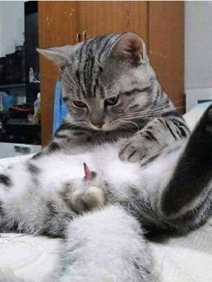 narawut21697481's profile picture. ชอบดูด_เลีย ให้เสร็จคาปากครับ