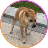 RocketErcCto (@rocketerccto) 's Twitter Profile