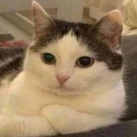 57g (@ochillg) 's Twitter Profile